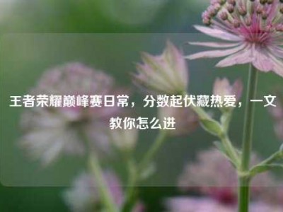 王者荣耀巅峰赛日常，分数起伏藏热爱，一文教你怎么进