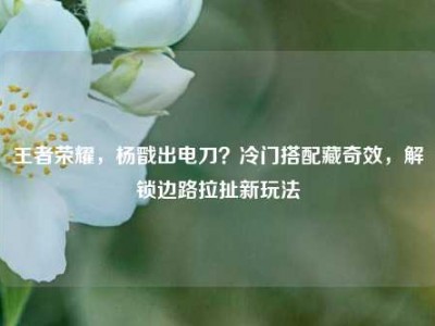 王者荣耀，杨戬出电刀？冷门搭配藏奇效，解锁边路拉扯新玩法