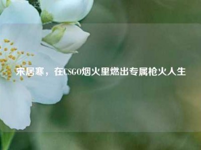宋居寒，在CSGO烟火里燃出专属枪火人生