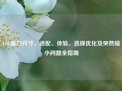 LOL窗口尺寸，适配、体验、选择优化及突然缩小问题全指南