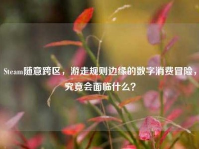 Steam随意跨区，游走规则边缘的数字消费冒险，究竟会面临什么？