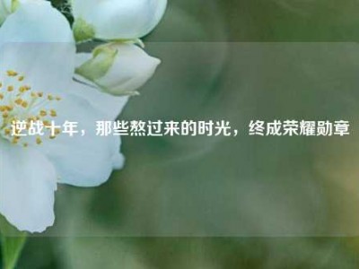逆战十年，那些熬过来的时光，终成荣耀勋章
