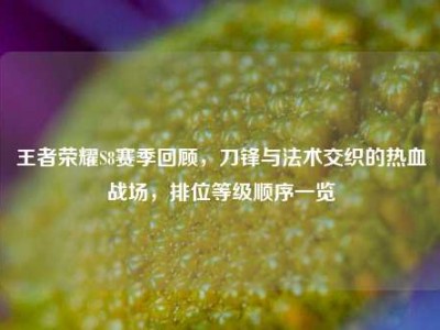 王者荣耀S8赛季回顾，刀锋与法术交织的热血战场，排位等级顺序一览
