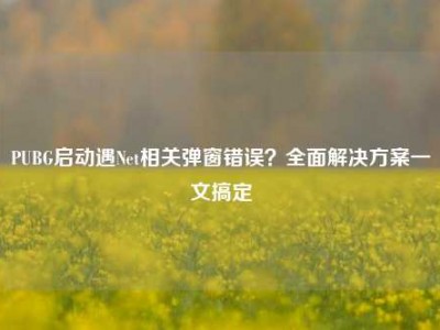 PUBG启动遇Net相关弹窗错误？全面解决方案一文搞定