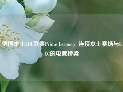 德国本土LOL联赛Prime League，连接本土赛场与LEC的电竞桥梁