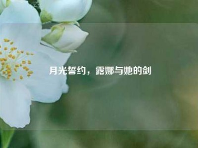 月光誓约，露娜与她的剑