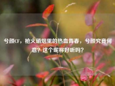 兮颜CF，枪火硝烟里的热血青春，兮颜究竟何意？这个昵称好听吗？
