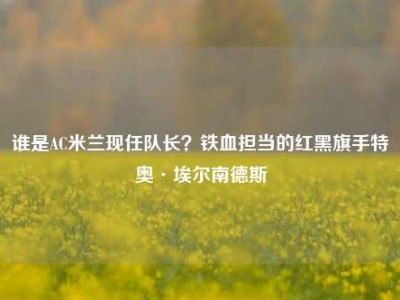 谁是AC米兰现任队长？铁血担当的红黑旗手特奥·埃尔南德斯