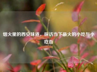 烟火里的西安味道，探访当下最火的小吃与小吃街
