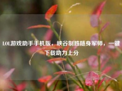 LOL游戏助手手机版，峡谷制胜随身军师，一键下载助力上分