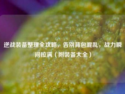 逆战装备整理全攻略，告别背包混乱，战力瞬间拉满（附装备大全）