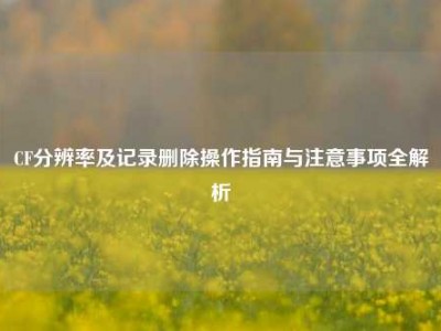 CF分辨率及记录删除操作指南与注意事项全解析