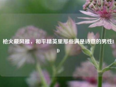 枪火藏风雅，和平精英里那些满是诗意的男性ID
