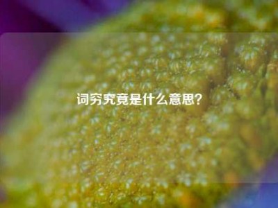 词穷究竟是什么意思？