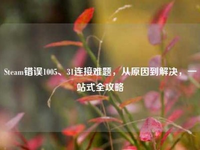 Steam错误1005、31连接难题，从原因到解决，一站式全攻略