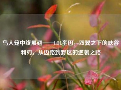 鸟人笼中终展翅——LOL奎因，双翼之下的峡谷利刃，从边路到野区的逆袭之路