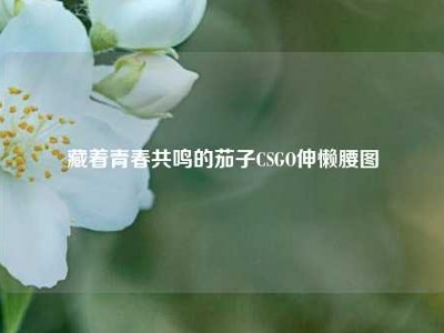 藏着青春共鸣的茄子CSGO伸懒腰图
