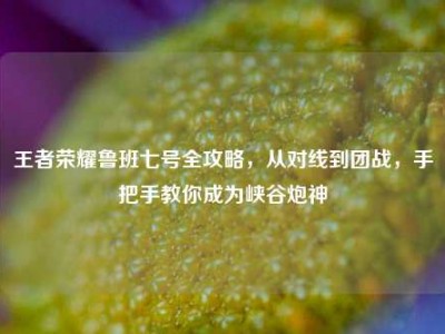 王者荣耀鲁班七号全攻略，从对线到团战，手把手教你成为峡谷炮神