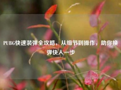 PUBG快速装弹全攻略，从细节到操作，助你换弹快人一步