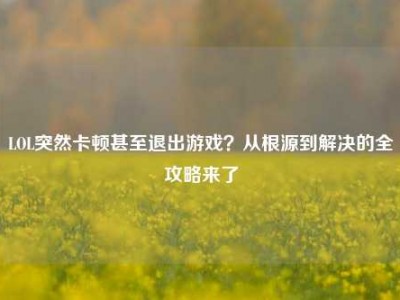 LOL突然卡顿甚至退出游戏？从根源到解决的全攻略来了
