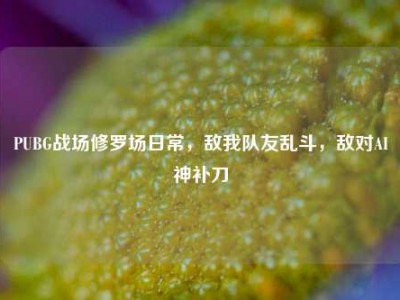 PUBG战场修罗场日常，敌我队友乱斗，敌对AI神补刀
