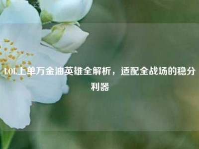 LOL上单万金油英雄全解析，适配全战场的稳分利器