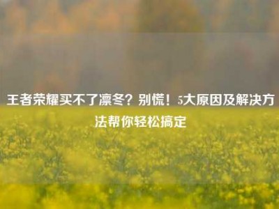 王者荣耀买不了凛冬？别慌！5大原因及解决方法帮你轻松搞定