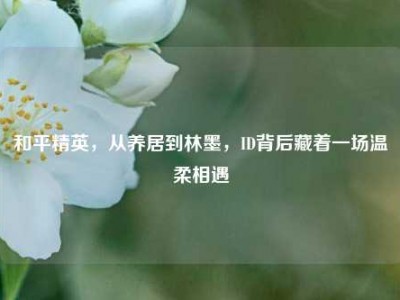 和平精英，从养居到林墨，ID背后藏着一场温柔相遇