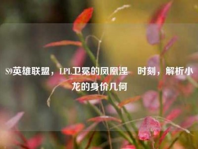 S9英雄联盟，LPL卫冕的凤凰涅槃时刻，解析小龙的身价几何