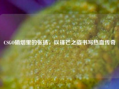 CSGO硝烟里的张扬，以锋芒之姿书写热血传奇