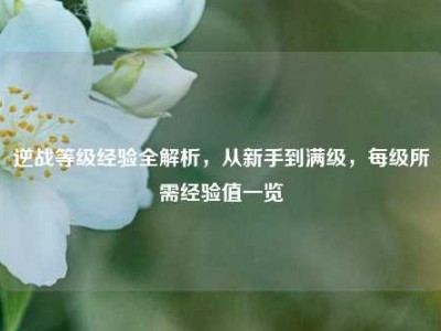 逆战等级经验全解析，从新手到满级，每级所需经验值一览
