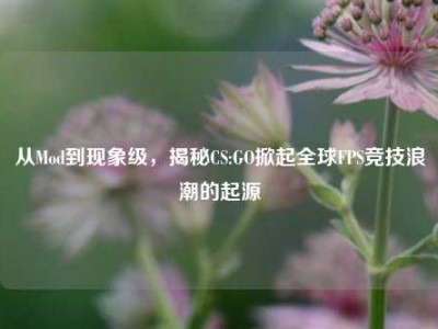从Mod到现象级，揭秘CS:GO掀起全球FPS竞技浪潮的起源