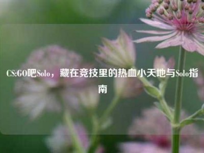CS:GO吧Solo，藏在竞技里的热血小天地与Solo指南