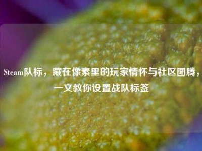 Steam队标，藏在像素里的玩家情怀与社区图腾，一文教你设置战队标签