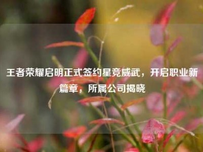 王者荣耀启明正式签约星竞威武，开启职业新篇章，所属公司揭晓