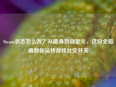 Steam状态怎么改？从隐身到自定义，这份全指南教你玩转游戏社交开关