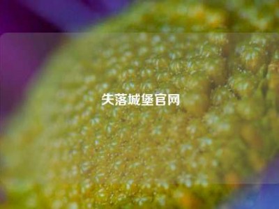 失落城堡官网