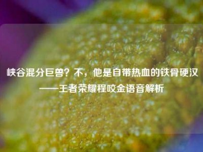 峡谷混分巨兽？不，他是自带热血的铁骨硬汉——王者荣耀程咬金语音解析