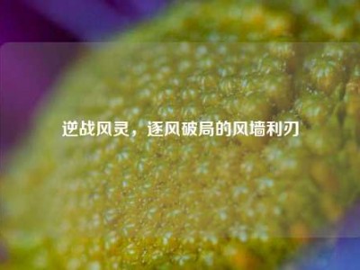 逆战风灵，逐风破局的风墙利刃