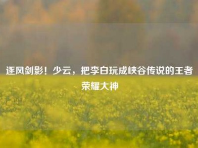 逐风剑影！少云，把李白玩成峡谷传说的王者荣耀大神