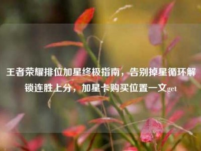 王者荣耀排位加星终极指南，告别掉星循环解锁连胜上分，加星卡购买位置一文get