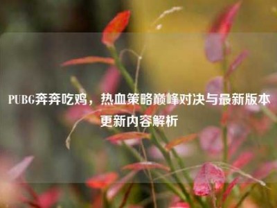 PUBG奔奔吃鸡，热血策略巅峰对决与最新版本更新内容解析