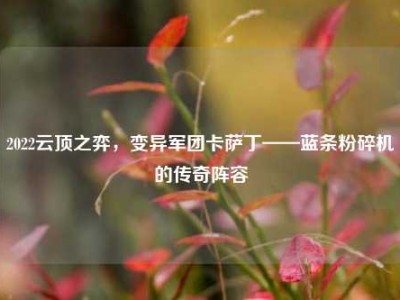 2022云顶之弈，变异军团卡萨丁——蓝条粉碎机的传奇阵容