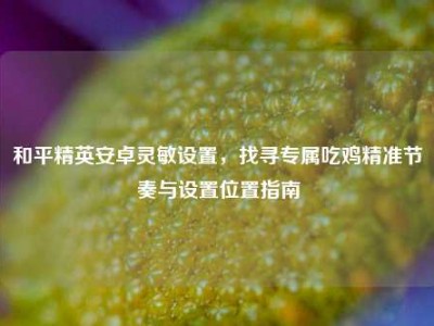 和平精英安卓灵敏设置，找寻专属吃鸡精准节奏与设置位置指南