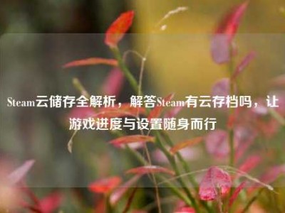 Steam云储存全解析，解答Steam有云存档吗，让游戏进度与设置随身而行