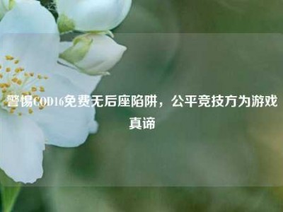 警惕COD16免费无后座陷阱，公平竞技方为游戏真谛