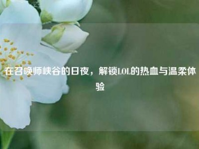 在召唤师峡谷的日夜，解锁LOL的热血与温柔体验