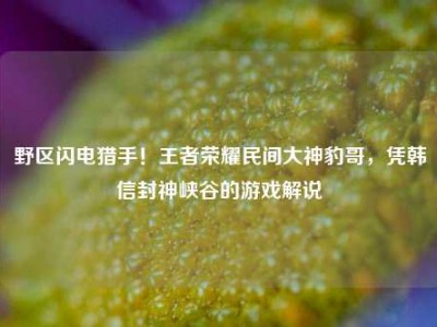 野区闪电猎手！王者荣耀民间大神豹哥，凭韩信封神峡谷的游戏解说