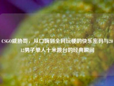 CSGO威胁哥，从口嗨到全网玩梗的快乐密码与2012男子单人十米跳台的经典瞬间