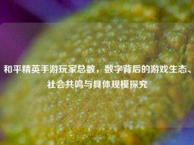 和平精英手游玩家总数，数字背后的游戏生态、社会共鸣与具体规模探究